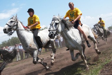 Askarovo Köyü, Cumhuriyeti Başkurdistan, Rusya Federasyonu-2 Haziran 2011. Sabantuy -, festivaller sırasında pulluk ulusal tatil at. Fotoğrafçılar için ücretsiz erişim.