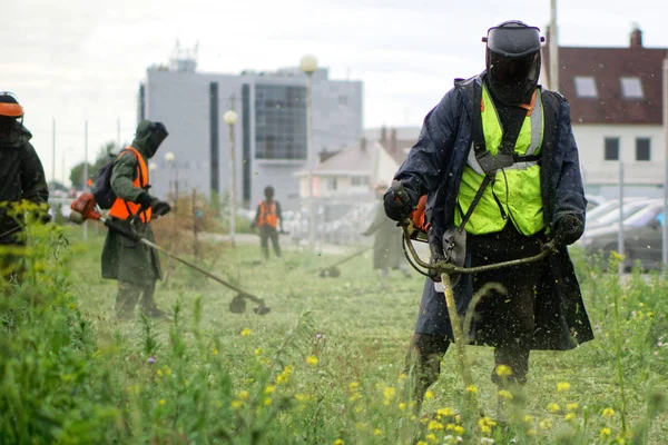 Men in protective suits mow the grass on a city lawn with manual