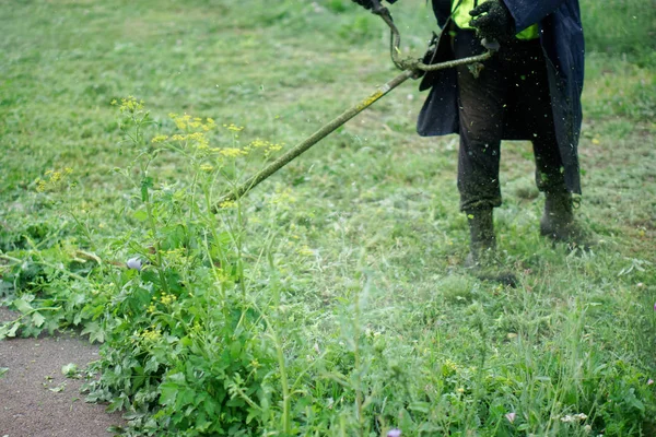 En man klipper gräset på en gräsmatta med en gräsklippare. Förbättring en — Stockfoto