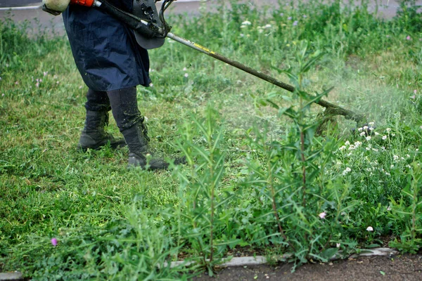 Un hombre corta la hierba y las malas hierbas en un césped de la ciudad usando una mano —  Fotos de Stock