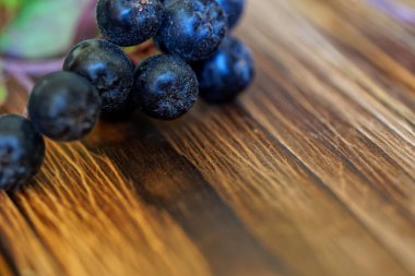 Chokeberry çilek yanında bir imza veya logo için boş alan ly