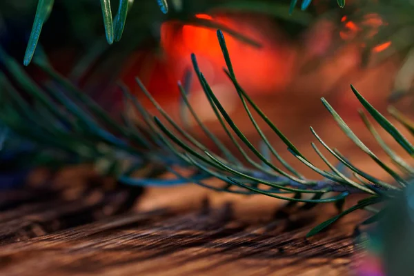 Jul och nyår träd nålar belysta av festlig färg — Stockfoto