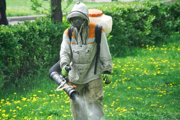 인공호흡기와 가벼운 보호용 양복을 근로자는 정원이나 공원에서 위생적 화학적 취급을 — 스톡 사진