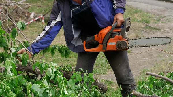 Ein Arbeiter Blauer Jacke Mit Kettensäge Schneidet Bäume Und Säubert — Stockfoto