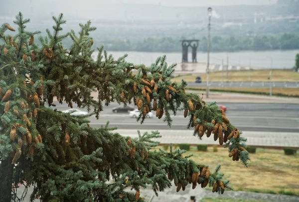 Lipca 2020 Rosja Magnitogorsk Widok Budynku Administracji Miejskiej Tylnego Pomnika — Zdjęcie stockowe