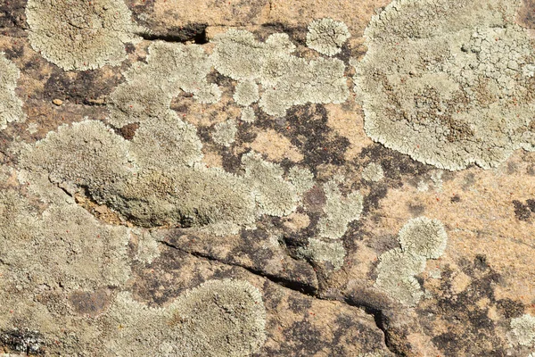 Starý Kamenný Povrch Pokrytý Modrým Lišejníkem Krásná Přírodní Kamenná Textura — Stock fotografie