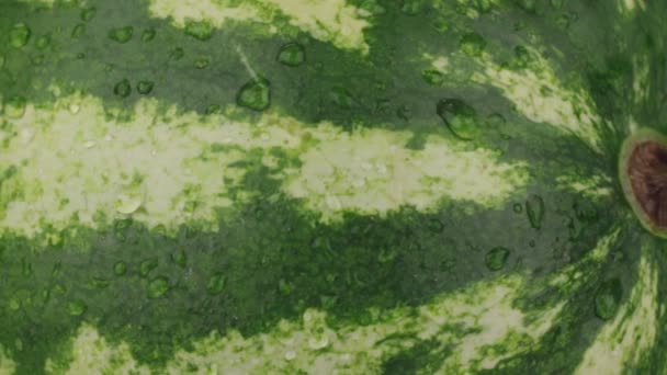 Rotatie Close Vallende Druppels Water Een Watermeloen Rijp Textuur Achtergrond — Stockvideo