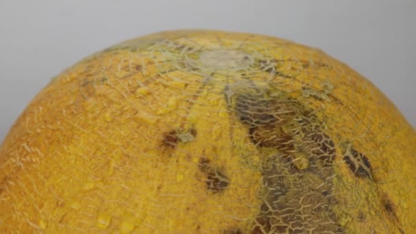 Rotation, gros plan, chute de gouttes d'eau sur un melon mûr . — Video