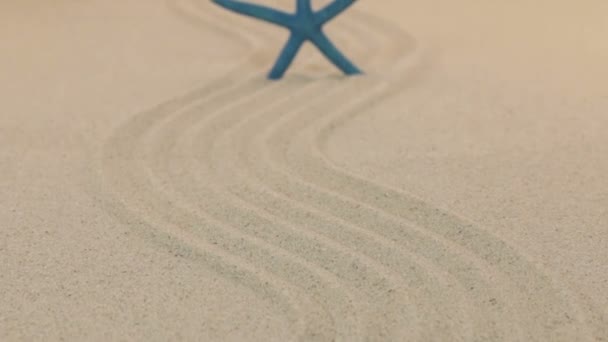 Aproximación de la estrella de mar azul de pie sobre las líneas arenosas que parten hacia el horizonte . — Vídeo de stock