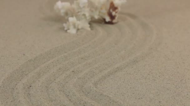 Anslag over den hvite korallen på sandlinjen som vender ut mot horisonten . – stockvideo