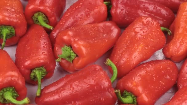 Περιστροφή του φυσικά ώριμες κόκκινες πιπεριές σε σταγόνες δροσιάς. Τροφίμων — Αρχείο Βίντεο