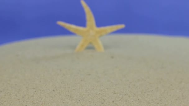Acercándose a la estrella de mar de pie en la arena. Aislado — Vídeo de stock