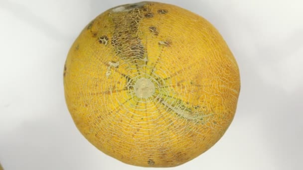 Rotazione di un melone giallo intero . — Video Stock