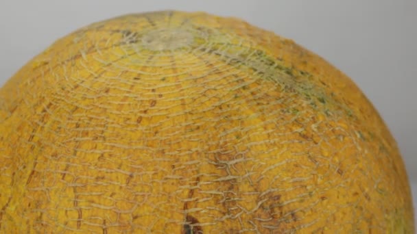 Rotatie van een hele gele meloen. Close-up. — Stockvideo