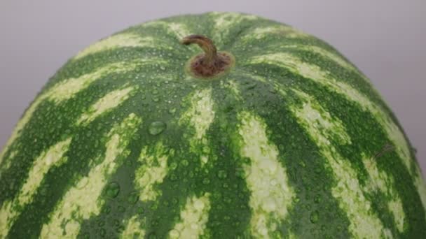 Rotation einer ganzen reifen Wassermelone in Tautropfen auf weißem Hintergrund. — Stockvideo
