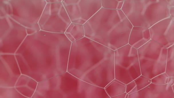 Rotace přírodní, červené neobvyklé struktury bublin. Detail. — Stock video