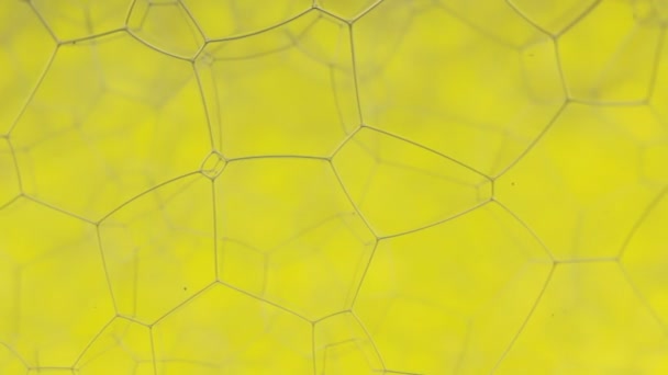 Forgatás buborékok természetes, sárga szokatlan felépítése. Közeli kép:. — Stock videók