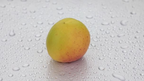 Вращение целого спелого абрикоса в капли росы лежащих на белом мокром фоне . — стоковое видео