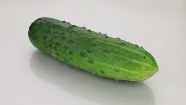 Rotation of a whole ripe cucumber lying on a white background. — Stock Video