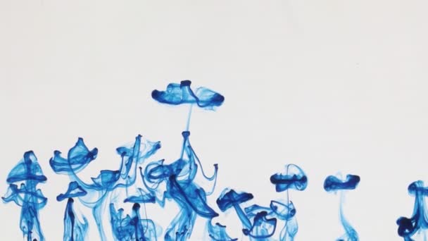 Gotas de tinta azul se elevan desde abajo hacia arriba bajo el agua . — Vídeo de stock