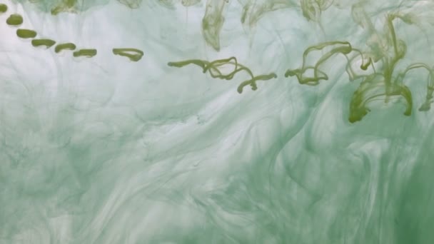 抽象的なカラフルなペイント、水でインク。カオス — ストック動画