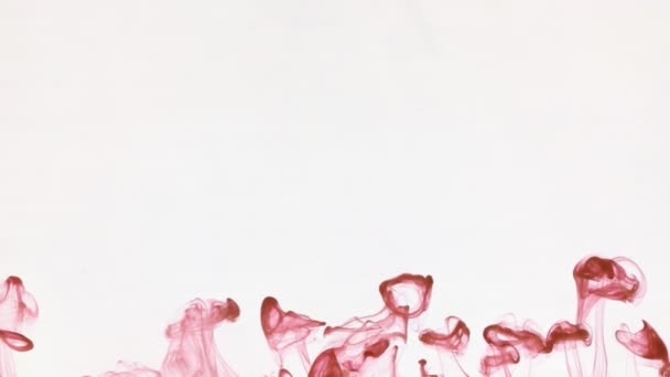 Chaotische verkeer van roze inktdruppeltjes in water. Abstract — Stockvideo