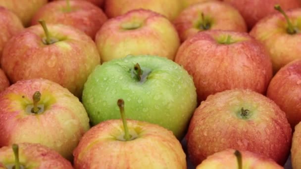 Close-up. De rotatie van de achtergrond gemaakt van appels. — Stockvideo