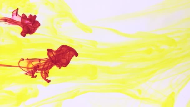 Vernici multicolori mescolate in acqua. Movimento caotico e astratto — Video Stock