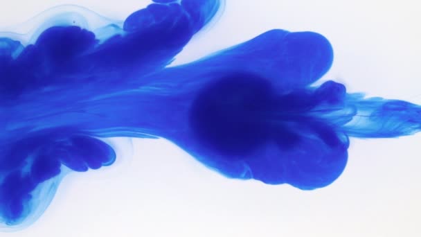 Abstracte bizarre vormen van blauwe inkt op een witte achtergrond. Mooie bewegingen van blauwe verf onder water. — Stockvideo