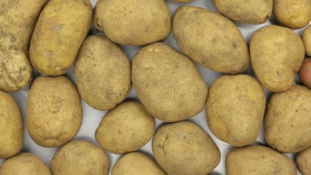 Rotação do fundo feita de batatas inteiras . — Vídeo de Stock