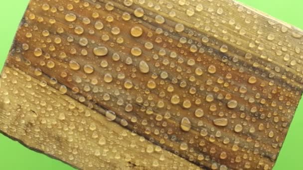 Rotation of an old wooden board in raindrops. Isolated — Stock Video