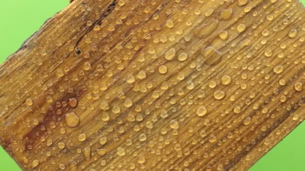 Rotation d'une vieille planche en bois dans des gouttes d'eau. Isolé — Video