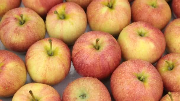 Gotas de lluvia cayendo sobre manzanas giratorias. Primer plano . — Vídeo de stock