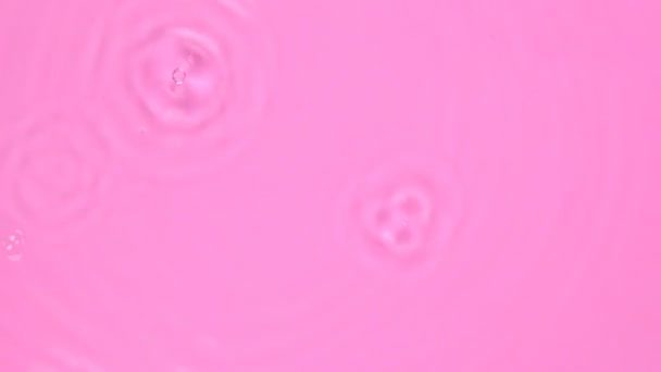 红花落在红墨水液体表面 顶视图 — 图库视频影像