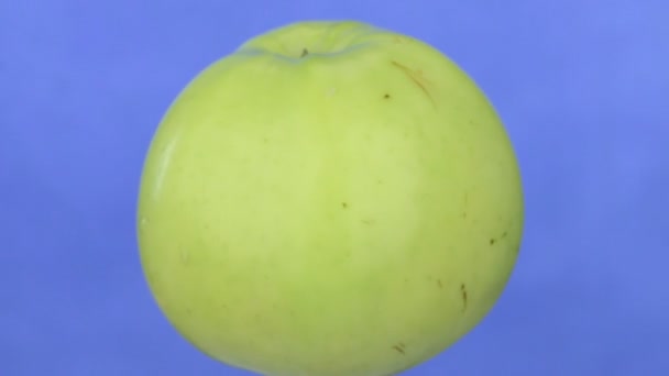 Rotación de una manzana verde madura, aislada sobre azul . — Vídeos de Stock