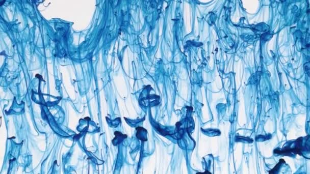 Mouvement chaotique de gouttes de peinture bleue dans l'eau. Résumé — Video