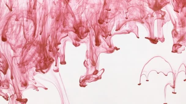 Kaotiska rörelse droppar av rosa bläck i vatten. Abstrakt — Stockvideo