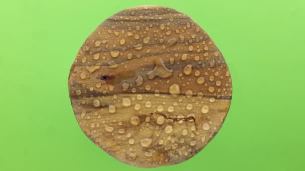 Raindrops are blown away by a strong wind from a round wooden plank. Isolated — Stock Video