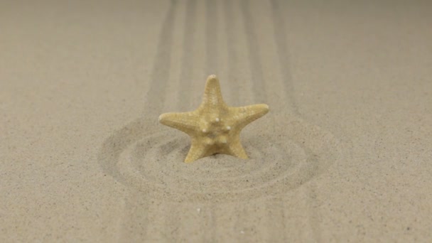 海星矗立在一个由沙子制成的圆圈的中心 海滩背景 — 图库视频影像