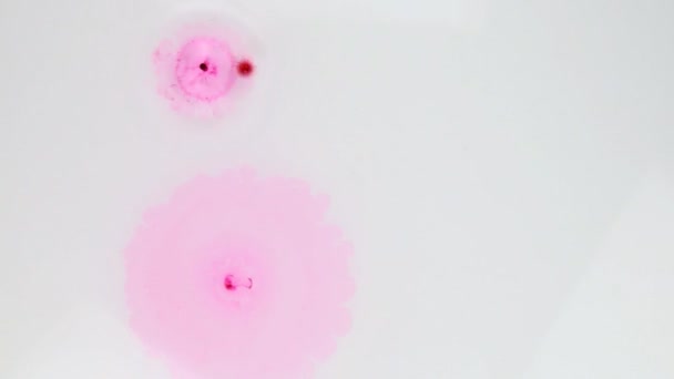 Roze druppels druipen in wit water, bovenaanzicht. Abstract. — Stockvideo