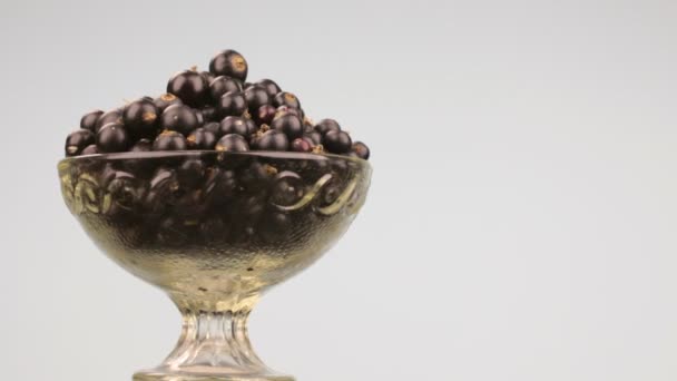 Rotation of a glass vase with a heap of black currants. — Stock Video