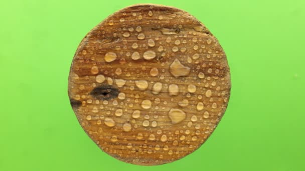 El viento sopla sobre gotas de lluvia sobre una tabla redonda de madera. Aislado sobre fondo verde . — Vídeos de Stock