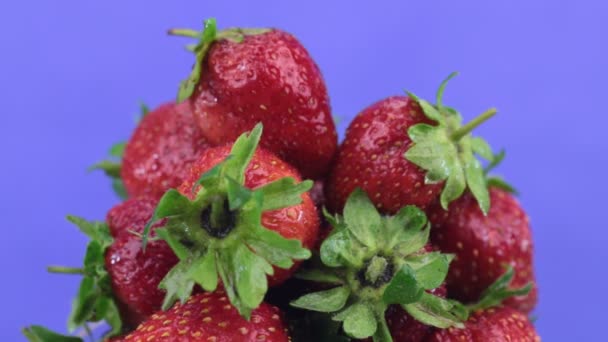 Rotation d'un tas de fraises rouges juteuses mûres en gouttes de rosée, isolées — Video