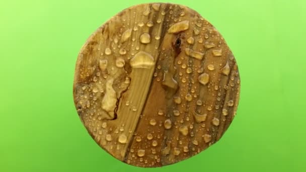 Wind blows water droplets off a rotating wooden frame. Isolated on green background. — Stock Video