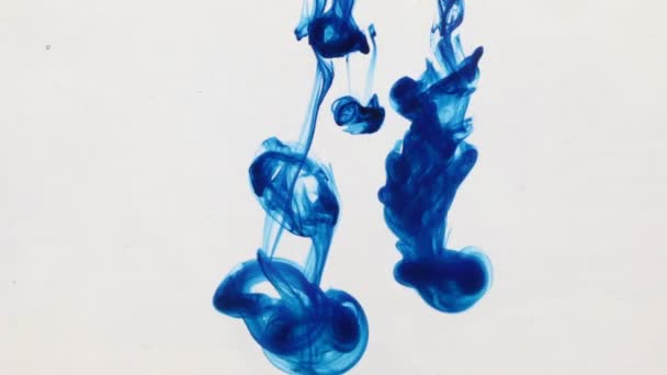Many paint streams in water, blue colored ink. — Stock Video