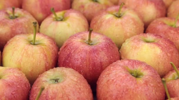 Gotas de lluvia cayendo sobre manzanas giratorias. Primer plano . — Vídeo de stock