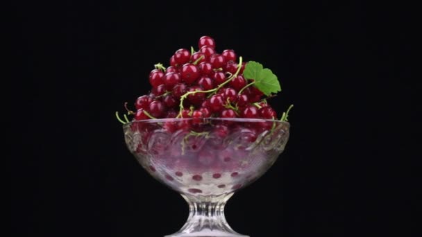 Rotation eines in einer Glasvase liegenden Haufens roter Johannisbeeren. — Stockvideo