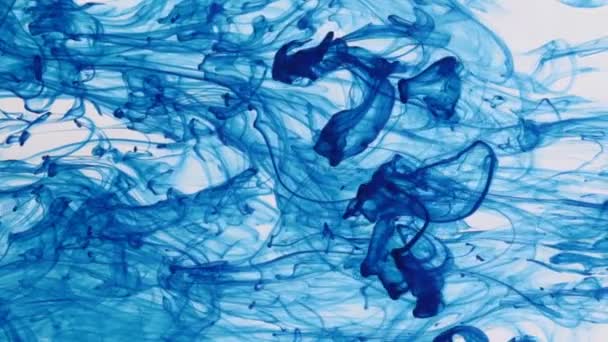 Gouttelettes peinture bleue dans l'eau sur fond blanc . — Video