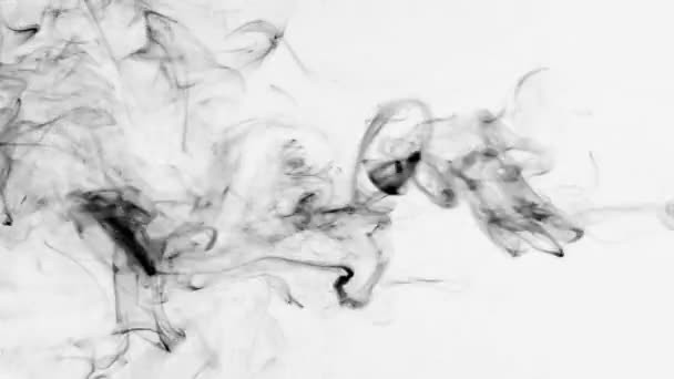 Twists av svart rök på en vit bakgrund. — Stockvideo