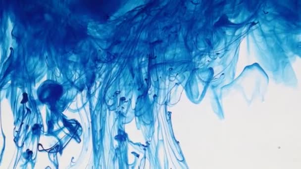 Beaucoup de courants de peinture dans l'eau, encre de couleur bleue . — Video